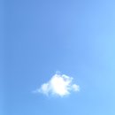 장애인센터에서 촬영한 구름 이미지