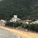 동막 이미지
