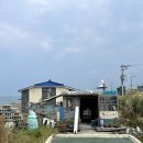[제주 구좌] 현지인 추천 오션뷰 카페 | 바람벽에흰당나귀 | 솔직후기