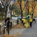 정자2동 이미지