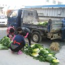 유비지역아동센터 이미지