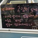 카페팔로 이미지