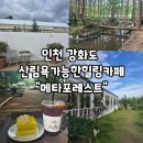 강화도아침숲속캠핑장 | 서울/경기근교, 인천 강화도 산림욕 가능한 숲속힐링카페 "메타포레스트" 내돈내산 후기!