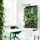 황금소아청소년과의원 이미지