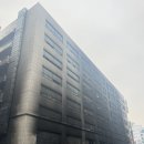 중앙체육사 | 2026 중등체육임용의 끝에서 | Ep.1 금붕어 | 1월~교생 전