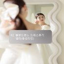 블랑드엘라 이미지