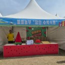 2026 함안세계수박축제 다녀온 후기🍉