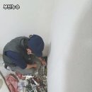 작은등샘 이미지