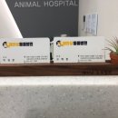 해와달동물병원 이미지