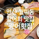 안산천동로 | (안산 월피동 맛집) 안산에서 소문난 찐 맛집 - 광어 횟집