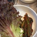 상수김치삼겹살 강서직영점 | 강서구청술집 모임추천 고기집 삼겹살맛집 노포감성 상수김치삼겹살 강서직영점 솔직후기