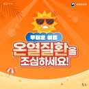 국가대표 가온 태권도장 이미지