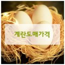 청솔유통 이미지