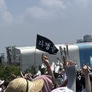 여름한조각