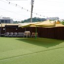 댕글라이프 이미지