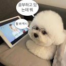 제니카페 이미지