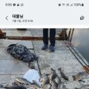 신원대로-7 이미지