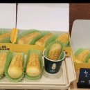 단임길