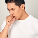 필라펠리스 이미지