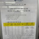 조천부부의원 | 제주 한달살이 15일차 여행기