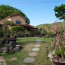 바람꽃뜰 이미지