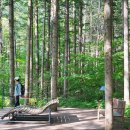 방아다리쉼터1 이미지