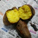 롯데리아 외대역점 이미지