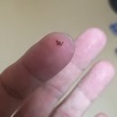 의성역 화장실 이미지