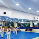 경희대금호태권도장 이미지