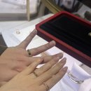 루이 | 웨딩밴드 투어 및 최종 까르띠에 방돔루이 구매 후기(26.04)