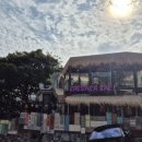 바바라 발리 이미지