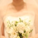 리무(RIMU) 이미지