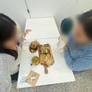 신길어름 동탄점 | 계절 생과일 빙수 디저트 맛집 치동천 카페 추천