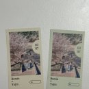 예랑인쇄 | W 미리캔버스 셀프 식권 제작 성원애드피아 인쇄 후기