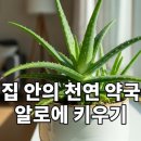 초록큰사랑약국 이미지