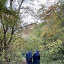 이둔펜션 | [진안·전주·장성 1박2일(2)]내장산 백양사의 가을, 필암서원(여행일정, 경비 포함)
