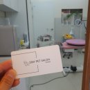 스테이 펫 살롱 이미지