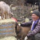 이명규농장 이미지