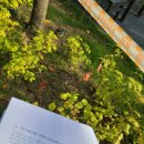 동산정보산업고등학교 | 국민건강보험공단 2020년 하반기 필기 후기 -중간이란 없는 너란 녀석ㅜ