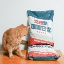 뉴트로연구소