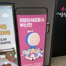도라나인
