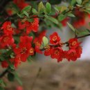 광명교회 이미지