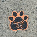 백두숯불구이 | 봉화 1박 2일 가족 여행 : 산촌식당, 백두대간수목원 호랑이 포토존, 태백 석탄박물관, 솔봉숯불구이