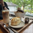 하루엔소쿠창원가로수길 | [Yeoni 하루] 창원 가로수길 베이커리 카페 밀집 추천 및 내돈내산 후기