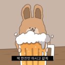 오팔공(580) 이미지