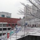 한국과학영재학교 이미지