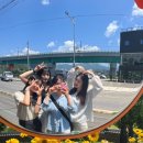 오쿨리펜션 이미지