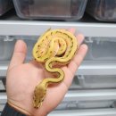 우성슈퍼 이미지