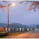 흥꽃 - 강물은 말이 없네 이미지