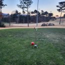 올데이 로얄포레 이미지